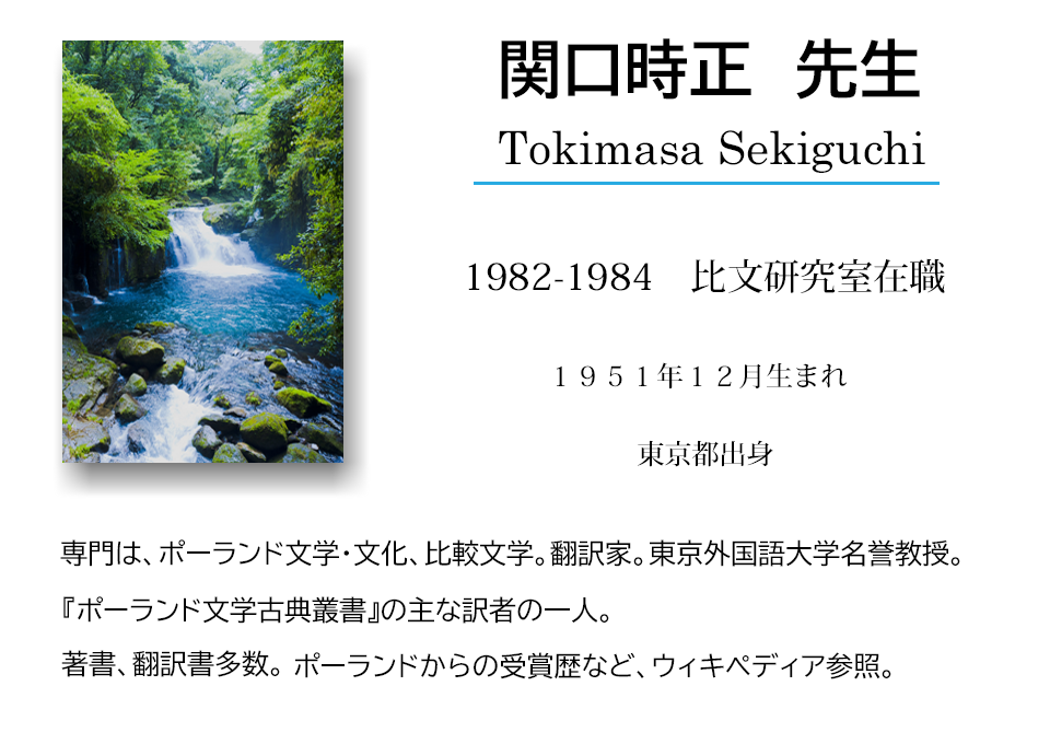関口先生上決定